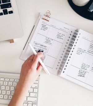 schedule planner for an REI sales VA